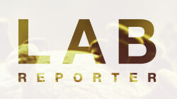 Lab Reporter